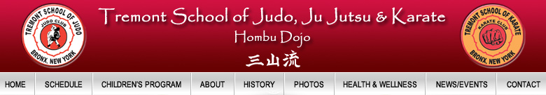 Bronx New York NY Martial Arts Karate Judo Ju Jutsu Jujitsu JuJutsu Taekwon do